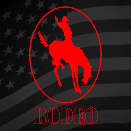 Rodeo Horse Iron on Transfer